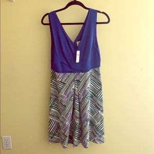NWT HD in Paris Anthropologie Dress NWT!